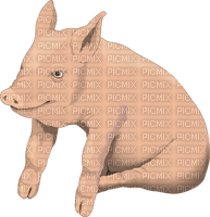 Kaz_Creations Pig - png grátis
