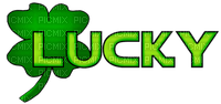Kaz_Creations St.Patricks Day Deco Text Lucky - Free PNG