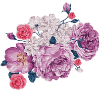 roses  Bb2 - ilmainen png