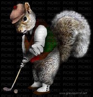 Squirrel bp - δωρεάν png