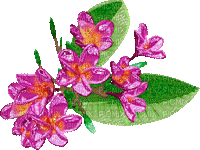 purple flowers - 無料のアニメーション GIF