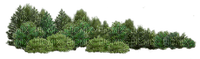trees - zadarmo png