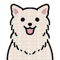 White Dog Kiss - 無料のアニメーション GIF