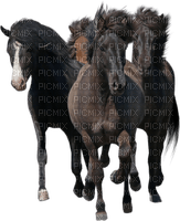 caballo - zdarma png