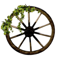 kikkapink autumn wheel - Free PNG