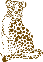 cheetah bp - Zdarma animovaný GIF