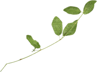 kikkapink deco autumn leaves branch - 免费PNG