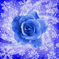 LU / BG /animated.winter.snow.rose.blue.idca - Free animated GIF