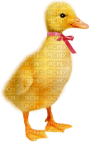 Easter Duck - PNG gratuit