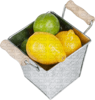 limones - png gratuito