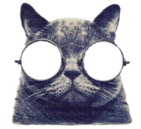 morpheus cat - 免费PNG