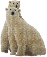 Kaz_Creations Animals Animal Polar Bears - δωρεάν png