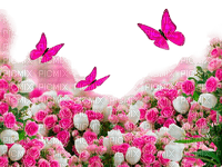 Y.A.M._Spring Summer decor - Free PNG