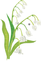 lily of the valley Bb2 - bezmaksas png