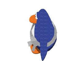 Club Penguin - GIF animé gratuit
