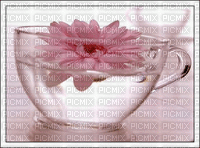 Tea Flower - Gratis animeret GIF