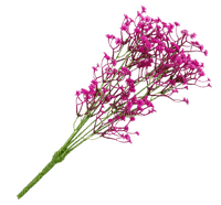 цветы - gratis png
