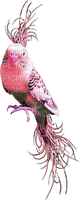 soave deco summer bird tropical parrot pink - darmowe png