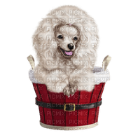 Kaz_Creations Christmas Dog Pup Dogs Colours - ingyenes png