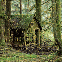 Abandoned Shack in the Woods - GIF animé gratuit