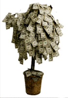 money tree - PNG gratuit