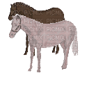 horse. horses bp - Бесплатный анимированный гифка