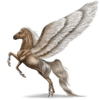 Pegasus bp - png gratis