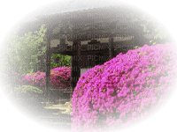cottage - 免费PNG