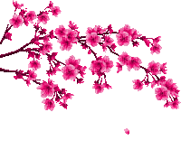 pink flower branche gif rose fleur branche - GIF animé gratuit