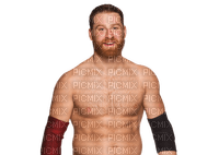 Kaz_Creations Wrestling Male Homme Wrestler Sami Zayn - безплатен png