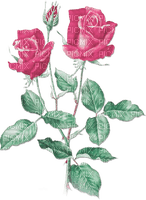 soave deco rose branch vintage pink green - PNG gratuit