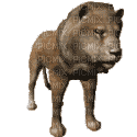 Angry Lion - 無料のアニメーション GIF