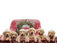 Christmas animals bp - бесплатно png