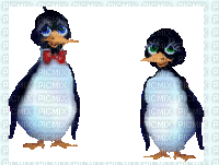 pingouin - Darmowy animowany GIF