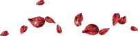 лепестки роз - Bezmaksas animēts GIF
