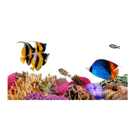 Aquarium - PNG gratuit
