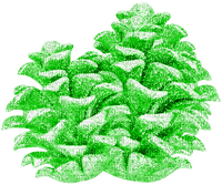 Glitter.Pinecones.Green - δωρεάν png