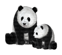 Kaz_Creations Panda Pandas - zadarmo png