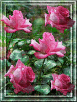 Fond.Background.Flowers.Fleur.Roses.Spring.Printemps.Victoriabea - Darmowy animowany GIF