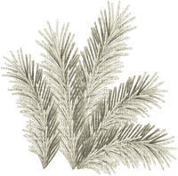 pine branch - zdarma png