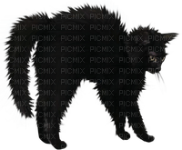 Black cat Bb2 - kostenlos png