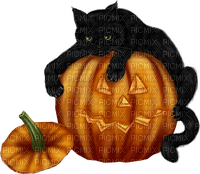 Black Cat with Pumpkin-RM - nemokama png