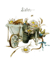 Mouse in a Cart - bezmaksas png