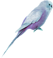 Perico plumaje lila - PNG gratuit