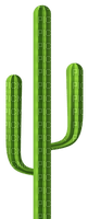 cactus - ücretsiz png