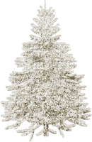 karácsonyfa - ilmainen png