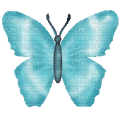 turquoise butterfly gif - Animovaný GIF zadarmo