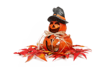 Halloween  citrruoille - kostenlos png
