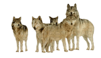Kaz_Creations Animals Wolves - zdarma png