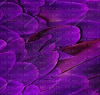feathers background - zdarma png